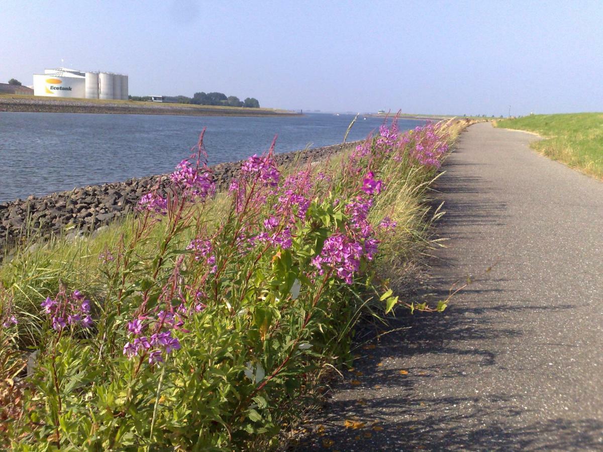 Middensluis 7 Villa Wemeldinge Ngoại thất bức ảnh